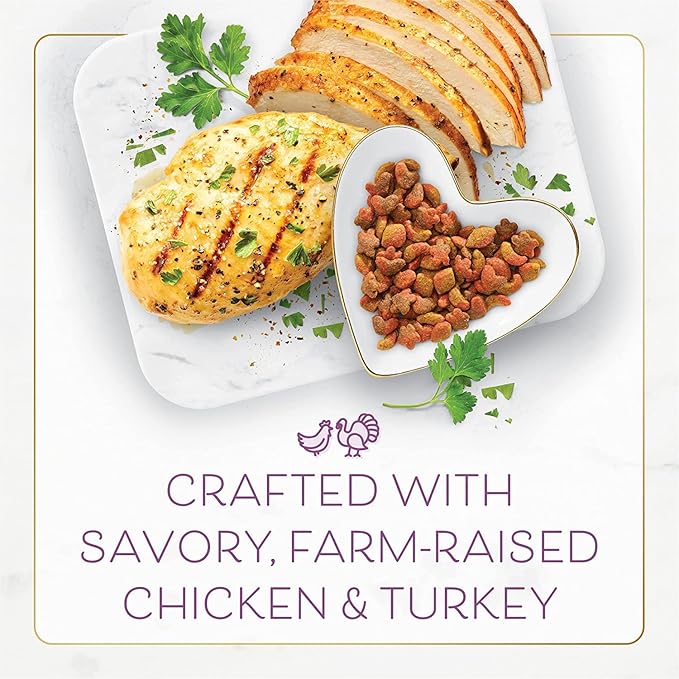 Aurora Pet Bundle Pack (4) FF Gourmet Dry Cat Food with Savory Chicken and Turkey (16 oz. Bags) Plus AuroraPet Wipes