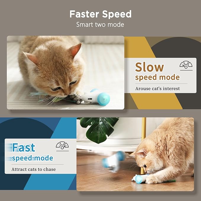 Interactive Cat Toys for Indoor Cats, 2-Speed Smart Automatic Cat Mouse Toy with LED Wheels, USB Rechargeable, with 13 Toy Pendants (New Model)