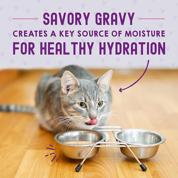 Stella & Chewy’s Carnivore Cravings Morsels & Gravy Salmon & Tuna Recipe Wet Cat Food Pouches – (2.8 Ounce Pouch, Case of 12)