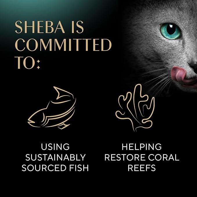 Sheba Perfect Portions Paté Adult Wet Cat Food Trays, Signature Seafood Entrée, Easy Peel Twin-Pack Trays (24 Count, 48 Servings)