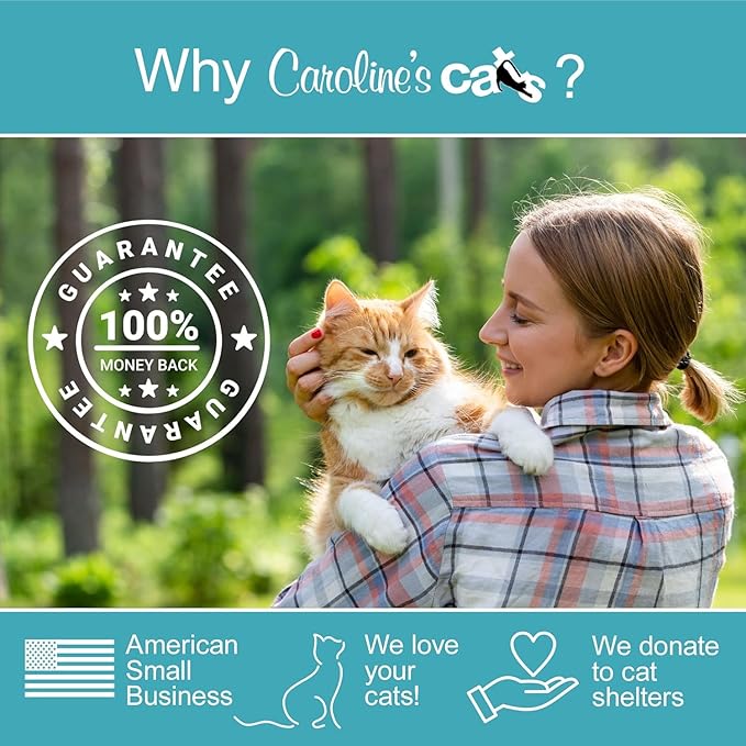 Caroline's Cats Automatic Butterfly Cat Toy – Interactive 2 in 1 with Auto Shut Off & Catnip Ball Track; Recommended Electric Exercise & Enrichment Game
