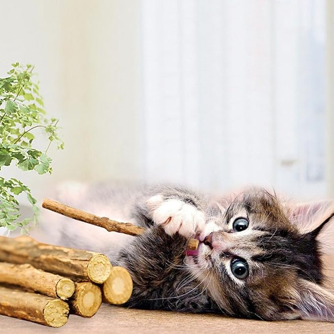 Cat Catnip Sticks Natural Matatabi Silvervine Sticks - Cleaning Teeth Molar Tools Kitten Cat Chew Toy Natural Catnip Mouse Cat Toy (20 PCS)