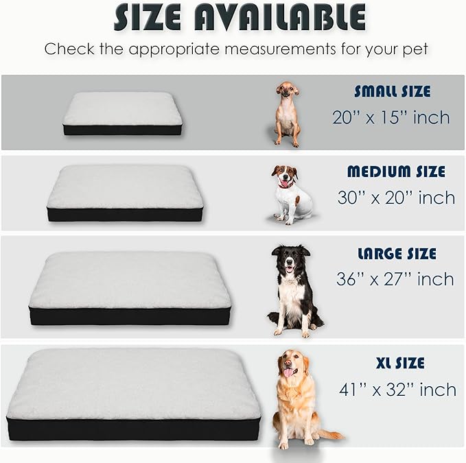 Orthopedic Dog Bed, Memory Foam Revisable Two Side with Washable Removable Cover, Small 20âx15â