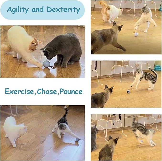 Migipaws Interactive Cat Ball Toy Set, Fun Tracker, Automatic Rolling Chase Ball with Fluffy Tail, A Small Mice, Rechargeable(Orange)