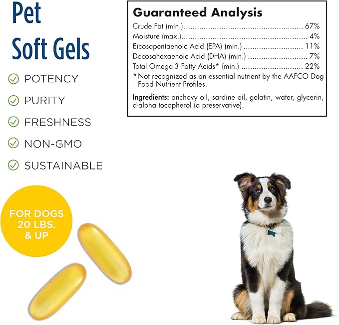 Nordic Naturals Omega-3 Pet, Unflavored - 90 Soft Gels - 330 mg Omega-3 Per Soft Gel - Fish Oil for Dogs with EPA & DHA - Promotes Heart, Skin, Coat, Joint, & Immune Health