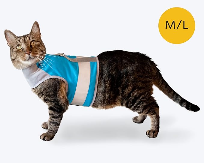 CAT SCHOOL Cat Harness and Leash Set for Outdoor Walks, Training, and Travel - Secure, Soft, Comfortable Cat Vest Harness with 10' Long Cat Leash - Easy to Use with Step-by-Step Instructions