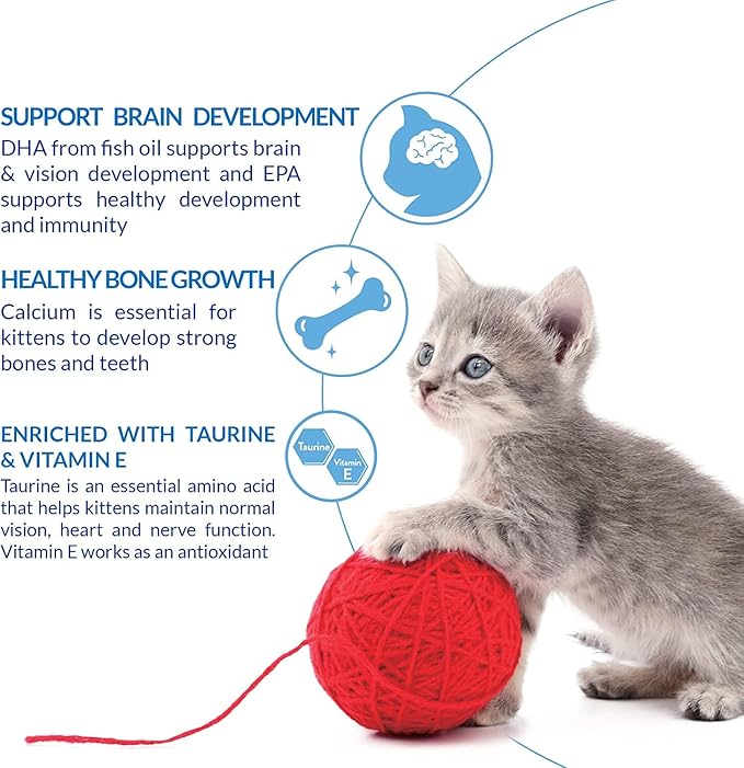 INABA Churu for Kittens, Creamy, Purée Lickable Cat Treats with DHA, EPA, Vitamin E & Taurine, 0.5 Ounces Each, 48 Tubes (4 per Pack), Tuna and Chicken Variety