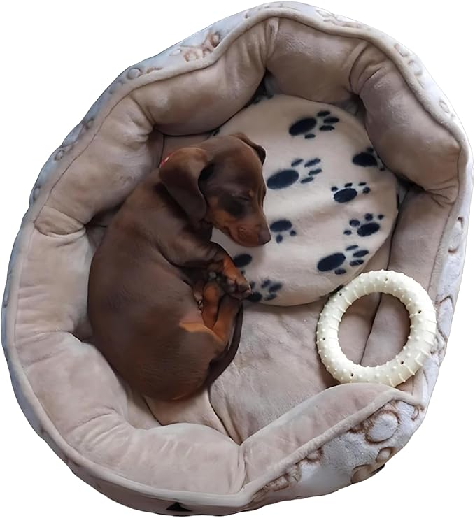 The 'Original' Snugglesafe Microwave Heating Pad Disc Microwavable Heated Pet Bed.