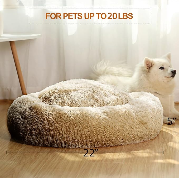 JEMA Calming Small Dog Beds for Small Dogs,Washable Donut Cuddler Pet Bed Cushions,Durable & Cozy Soft Dog Bed with Removable Pad 22 Inch