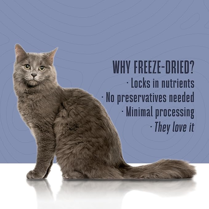 Whole Life Pet Freeze Dried Cat Food - Human-Grade Wet Cat Food Toppers, Natural Broth for Cats, Instantly Hydrating Cat Snacks, Lickable Cat Treats, Just Add Water - Salmon & Tuna, 3 Oz