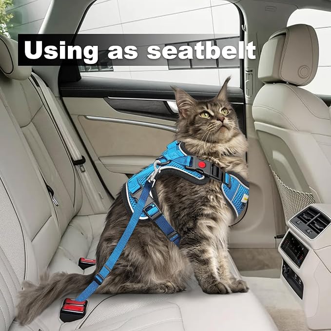 Cat Harness and Leash for Walking, Retractable Cat Harnesses and Leash Set Escape Proof, Breathable Soft Kitten Harness Small Large Cat Harness for Travel Training and Walking, Blue, XXS