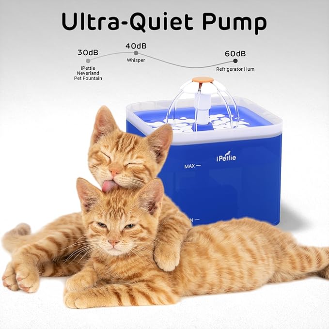 iPettie Neverland Cat Water Fountain with LED Light, 67oz/2.0L, Ultra Quiet Drinking Waterer, Automatic Filtered Water Dispenser, Water Purifier for Pets, Blue