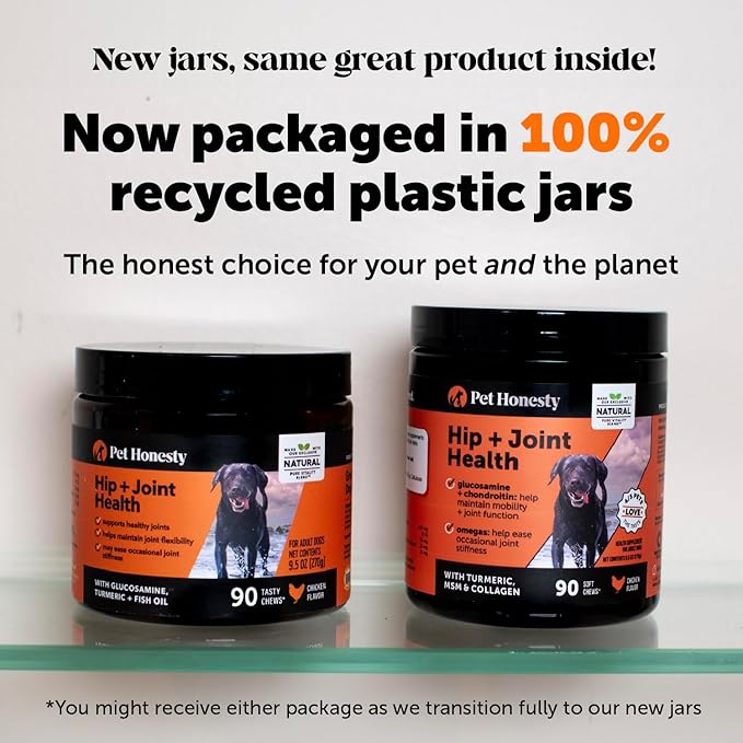 Pet Honesty Hip & Joint Health - Glucosamine for Dogs Soft Chews, Joint Supplement for Dogs with Glucosamine Chondroitin, Fish Oil, MSM, Turmeric, Advanced Pet Joint Support and Mobility (Bacon 90 Ct)