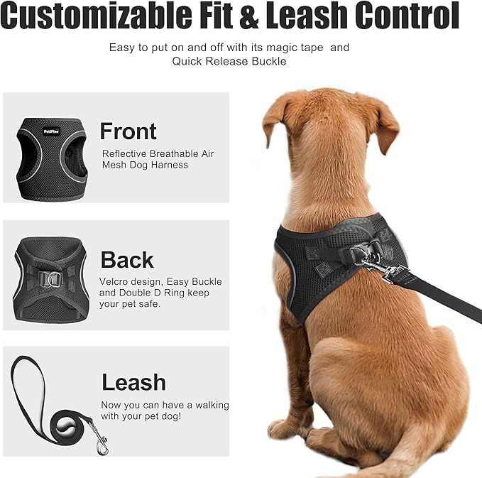 PetiFine Extra Small Step in Dog Harness and Leash Set, Cat Harness and Leash Escape Proof, All Weather Mesh Reflective, Step-in Air Vest Harnesses for Puppy(XXXS, Black)