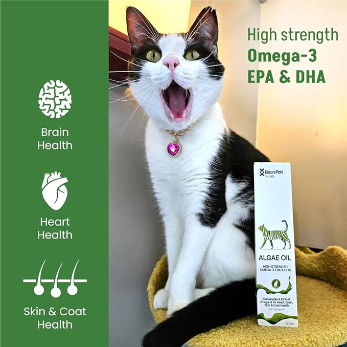 Omega 3 for Cats - Algae Oil, Alternative Fish Oil for Cats, Sustainable Omega Supplement for Skin & Coat, Itching, Shedding, Joints & Immune Health, Natural Omega Cat Supplements 50ml