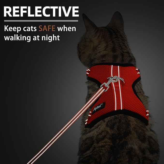 PUPTECK Cat Harness and Leash Set Escape Proof, Reflective Adjustable Soft Mesh Kitten Vest Harness for Walking Travel, Orange, M