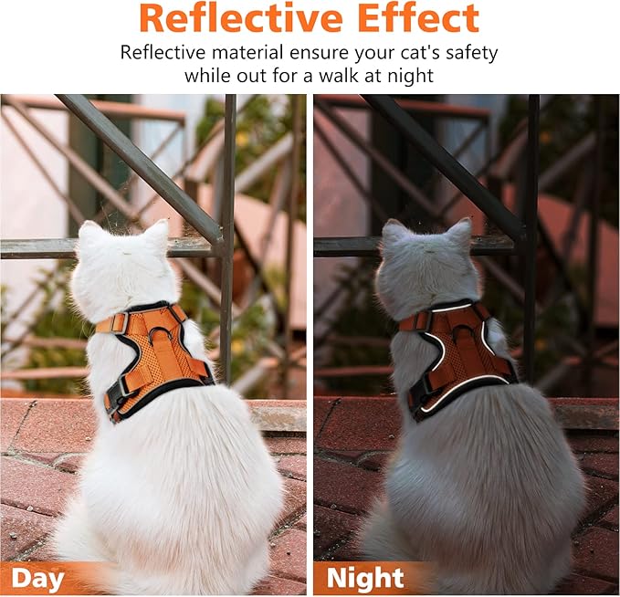 Dooradar Cat Harness and Leash Set, Escape Proof Safe Adjustable Kitten Vest Harnesses for Walking, Easy Control Soft Breathable Mesh Jacket with Reflective Strips for Cats, Orange, XS