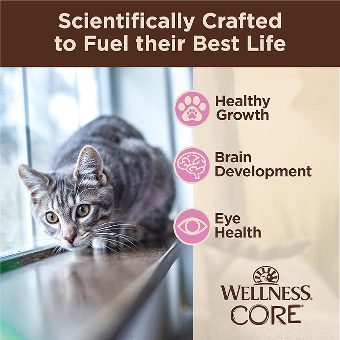 Wellness CORE Tiny Tasters Wet Kitten Food, Complete & Balanced Natural Pet Food, Made with Real Meat, 1.75-Ounce Pouch, 12 Pack (Kitten, Chicken Pate)