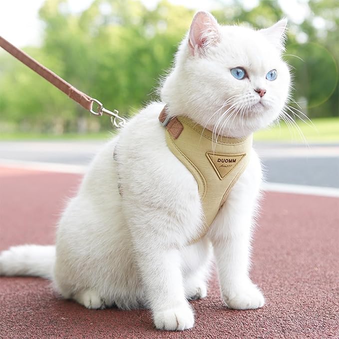 Escape-Proof Cat Harness and Leash Set - Adjustable and Comfortable - Ideal for Walking Cat Outdoors - Fits Kittens, Medium, and Large Cats (Beige, L)