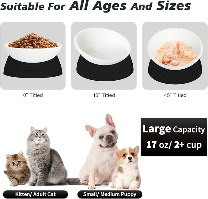 Cat Bowls Elevated Cat Food Bowl Adjustable Cat Dish Anti-Slip and Anti-Noise Raised Cat Bowl Protecting Pet’s Spine Thickened Plastic Bowl Suitable for Indoor Cats, 17 Oz