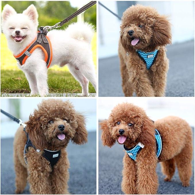 Soft Mesh Dog Harness and Leash Set, Step-in Reflective Breathable Comfort Padded Quick Dry Pet Puppy Vest Harness for Extra-Small/Small Medium Dogs and Cats (Brown, XXS)