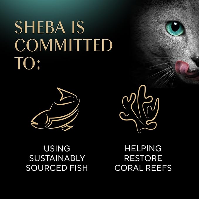 Sheba Perfect Portions Wet Cat Food Cuts in Gravy With Roasted Chicken Entree, 2.6 oz., Twin-Pack Trays (24 Count, 48 Servings)