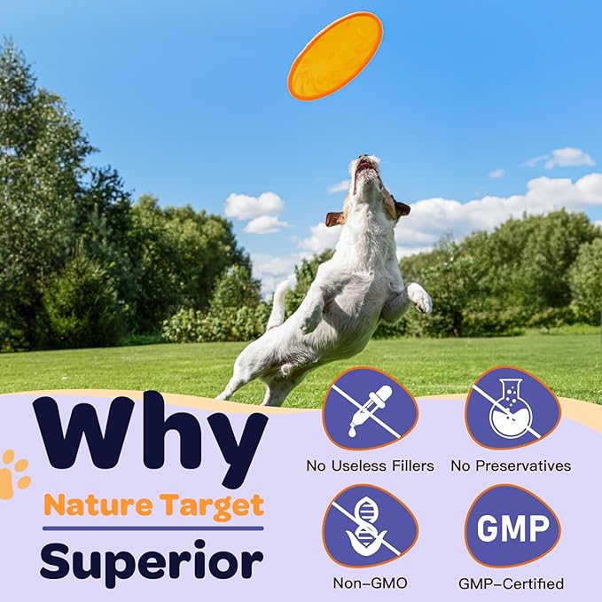 Probiotics for Dogs - Dog Probiotics, Plus Prebiotic, Digestive Enzymes, Fiber, Gut Health, Immune, Digestive Support, 6 Billion CFU Dog Probiotic Powder, 90 Scoops, Relieve Diarrhea, Loose Stool