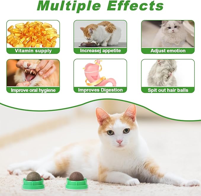 CCINEE 3PCS Catnip Balls for Cats Wall Catnip Toys Edible Cat Toys for Cat Lick Safe Healthy Kitten Chew Toys Teeth Cleaning Dental Cat Toys