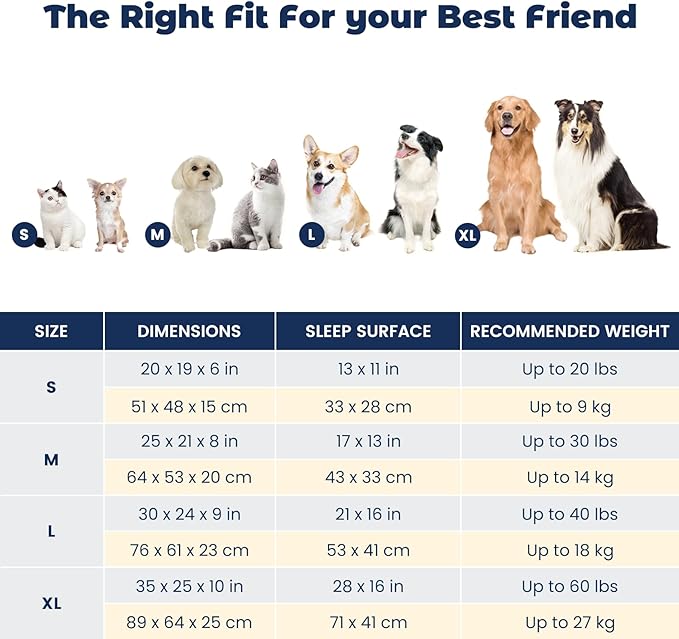 Miguel Medium Small Dog Bed with Washable Removable Cover - Rectangle Pet Bed for Indoor Cats with Bolster Soft Cuddle Bed for Puppies with Supportive Side Wall Slip-Resistant Bottom, Blue 25 Inches