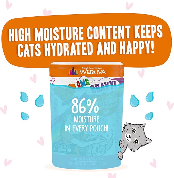 Weruva B.F.F. OMG - Best Feline Friend Oh My Gravy!, Tuna & Salmon Sweet Cheeks with Tuna & Salmon in Gravy Cat Food, 3oz Pouch (Pack of 12)