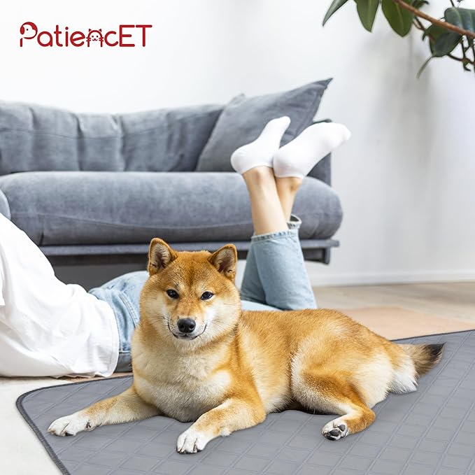 PatiencET Washable Pee Pads for Dogs 36'' x 41" Reusable Pee Pads for Dogs 2 Pack Puppy Pads Potty Pee Pads with Waterproof Bottom for Pet Training, Whelping and Incontinence