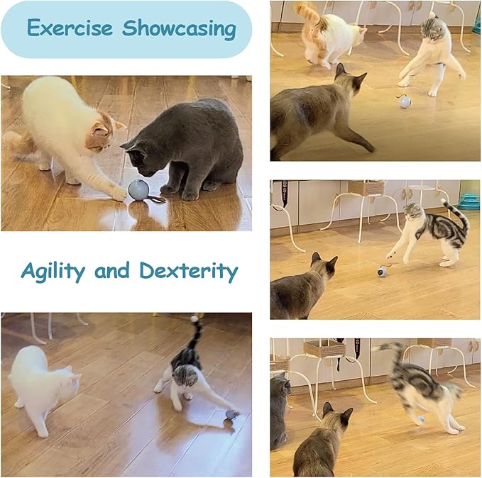 Migipaws Interactive Cat Ball Toy Set, Fun Tracker, Automatic Rolling Chase Ball with Fluffy Tail, A Small Mice, Rechargeable(White)