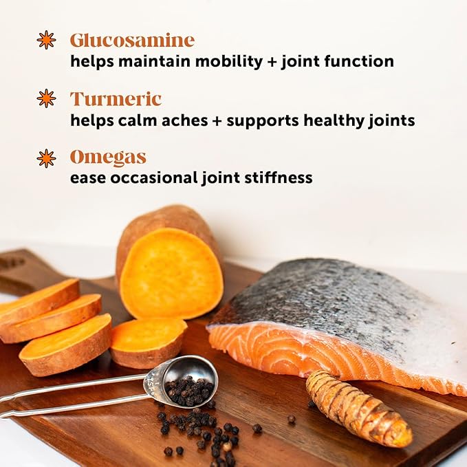 Pet Honesty Hip & Joint Health - Glucosamine for Dogs Soft Chews, Joint Supplement for Dogs with Glucosamine Chondroitin, Fish Oil, MSM, Turmeric, Advanced Pet Joint Support and Mobility (Bacon 90 Ct)