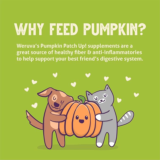 Weruva Pumpkin Patch Up! Pumpkin with Ginger & Turmeric for Dogs & Cats, 1.05oz Pouch (Pack of 12)
