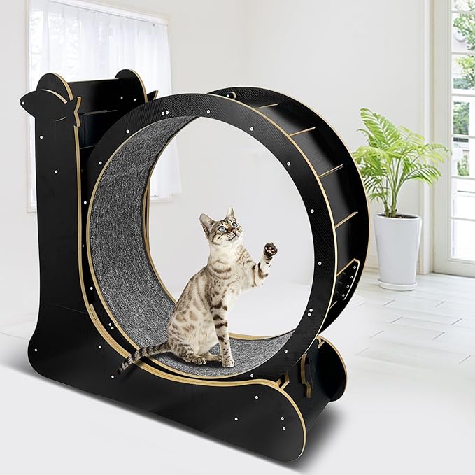 Upgraded 2 in 1 Cat Exercise Wheel,39.4" High Indoor Cat Running Wheel with Cat Scratcher, Cat Treadmill, TPE Silent Wheel, Wooden Cat Sport Exercise Wheel, Black