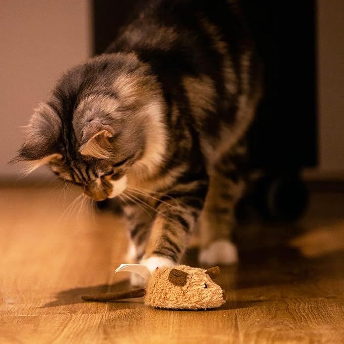 Gigwi Interactive Cat Toys for Indoor Cats, Cat Mouse Toys with Electronic Realistic Squeaky Sound, Automatic Moving Kitten Toys Electric Mice Toy Self Play Exercise(Brown Ear)