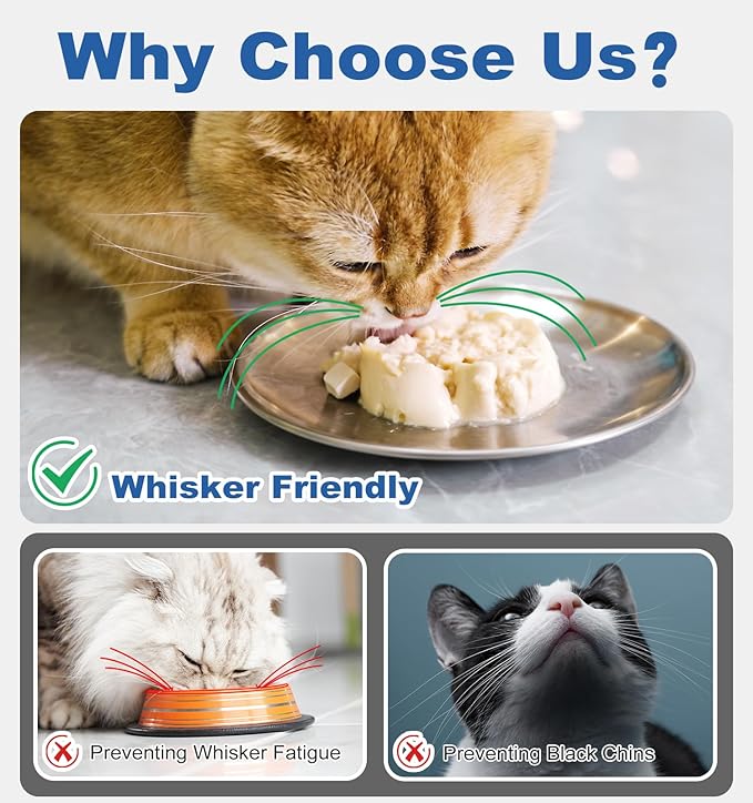 Supet Cat Plates for Wet Food, Non Slip Cat Food Bowls Whisker Friendly, Stainless Steel Shallow Wide Cat Dishes for Indoor Cats (13Oz, 2Pcs)
