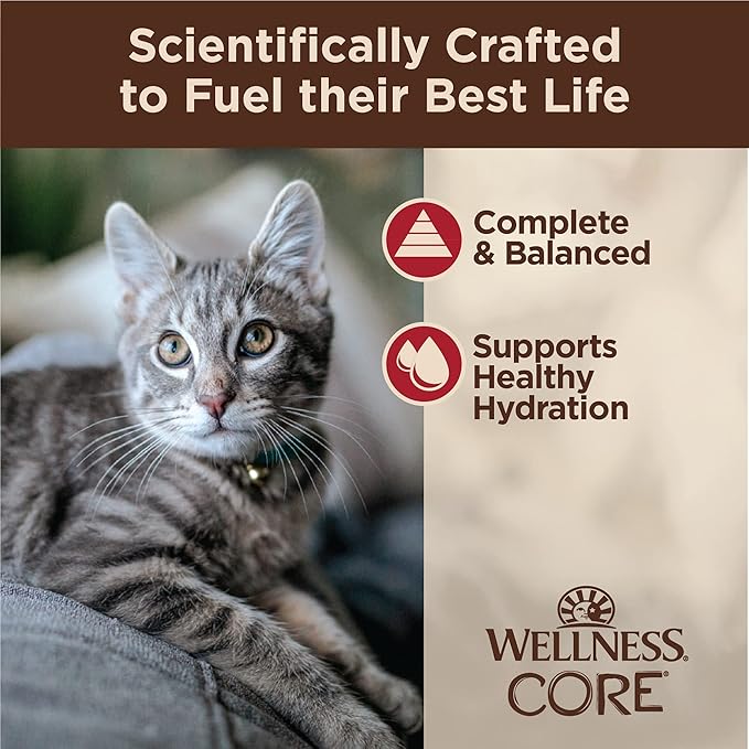 Wellness CORE Tiny Tasters Wet Cat Food, Complete & Balanced Natural Pet Food, Made with Real Meat, 1.75-Ounce Pouch, 12 Pack (Adult Cat, Minced Chicken & Beef in Gravy)