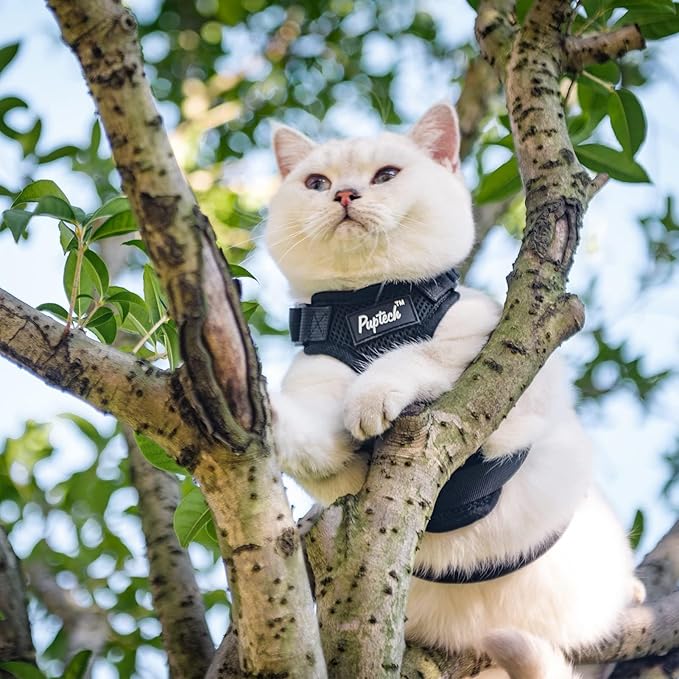 PUPTECK Cat Harness and Leash Set Escape Proof for Walking, Breathable Mash Vest Adjustable Harness for Cats Puppy Small Animals, Reflective at Night, Black Small