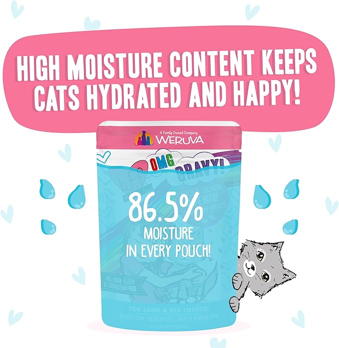 Weruva B.F.F. OMG - Best Feline Friend Oh My Gravy!, Date Nite! with Duck & Salmon in Gravy Cat Food, 2.8oz Pouch (Pack of 12)