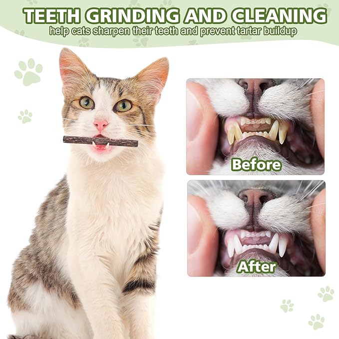 6 Pack Silvervine Sticks Cat Toy, Natural Cat Chew Stick for Cat Dental Care Teeth Cleaning,Matatabi Cat nip Treat Toys for Indoor Cats& Kittens