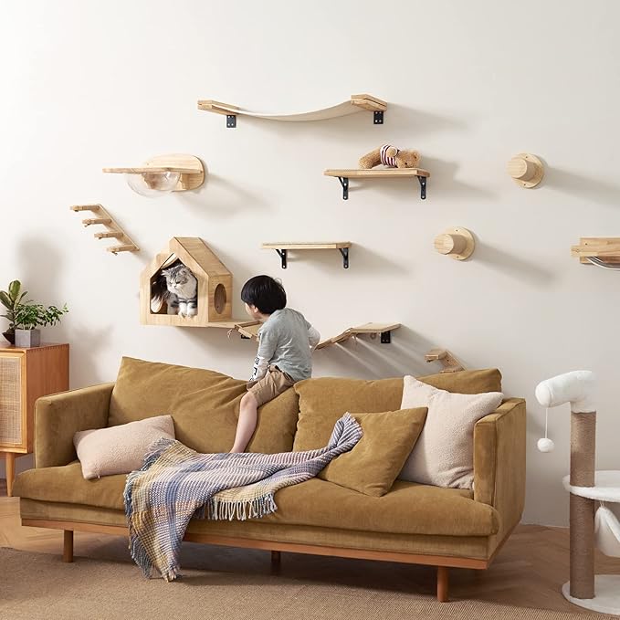 FUKUMARU Cat Wall Furniture Set, Transparent Capsule Cat Wall Shelves with 2 PCS Pedals - Premium Kitty Bed for Sleeping, Playing, Climbing, and Lounging - Easily Holds Up to 35 Lbs