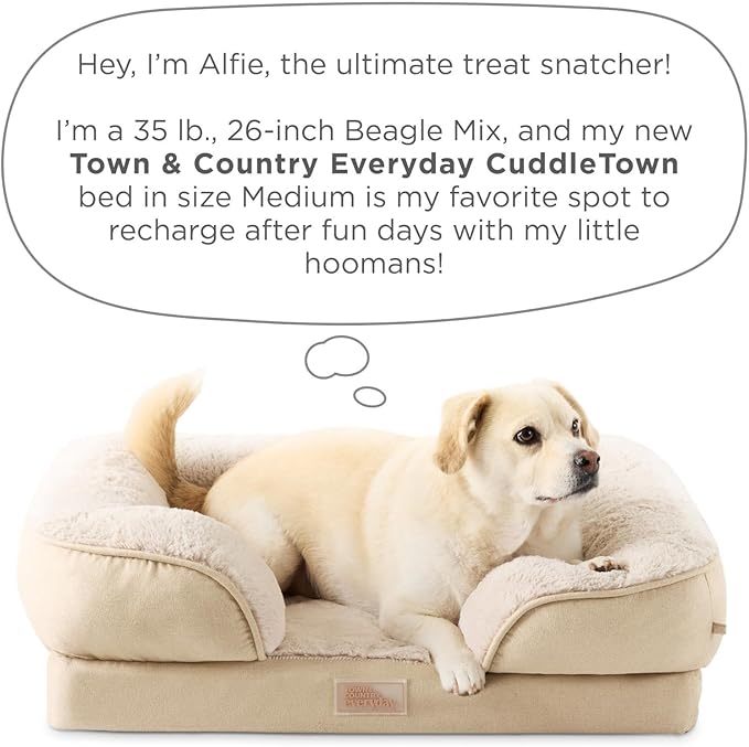 TOWN & COUNTRY EVERYDAY CuddleTown Comfy Solid Bolster Sofa Pet Bed, Supportive & Calming Egg Crate Foam, Water Repellent, Non-Slip Bottom, Machine Washable Cover, Beige, Medium 28"x23"x8"