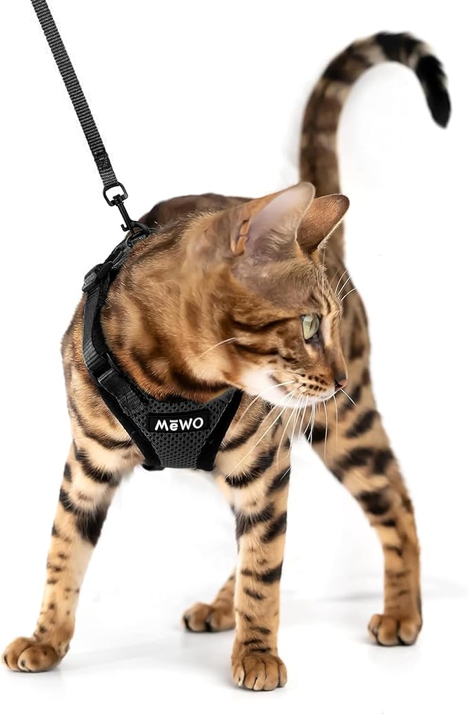 MeWO Kitten Leash and Harness Set - Escape Proof, Reflective, Adjustable for a Safe & Snug Fit - Small Cat Harness and Leash Set Cat Leashes and Harnesses for Walking Outdoors Kitten Harness and Leash