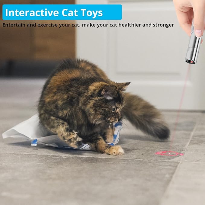 Cat Toys, Cat Toy Red Pointer for Indoor, Rechargeable, 5 Adjustable Patterns, 3 Modes Training Chaser Pet Toy Pointer, Interactive Pet Cat/Dog Toy for Cats Fun Playing Exercise