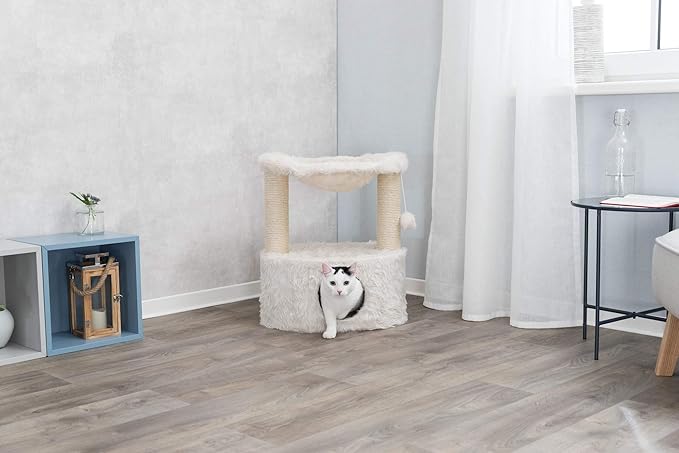 TRIXIE Baza Grande Scratching Post, Cat, Creme, Medium, (44545)