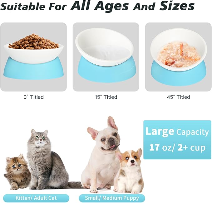Cat Bowls Elevated Cat Food Bowl Adjustable Cat Dish Anti-Slip and Anti-Noise Raised Cat Bowl Protecting Pet’s Spine Thickened Plastic Bowl Suitable for Indoor Cats, 17 Oz