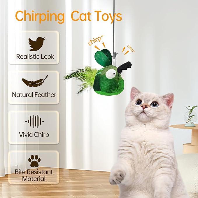 Chirping Cat Toys Hanging Cat Feather Toy - Catnip Interactive Cat Toys for Indoor Cats - Automatic Cat Toy for Cat Exercise & Kicker to Self Play (Emerald Pangpang)