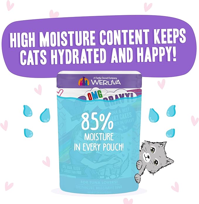Weruva B.F.OMG - Best Feline Friend Oh My Gravy!, Tuna & Beef Baby Cakes with Tuna & Beef in Gravy Cat Food, 3oz Pouch (Pack of 12), Purple (0152)