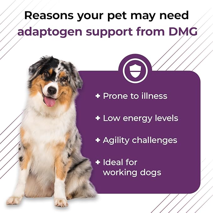 VetriScience Vetri DMG Liquid Drop - 114ml Bottle - Immune Support Supplements for Dogs and Cats
